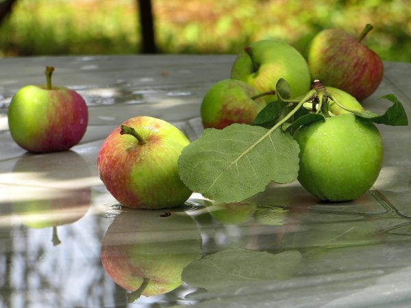 Яблочное Вдохновение