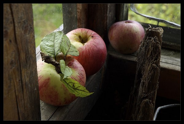 Деревенские яблочки