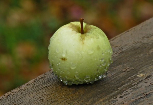 Яблоки дождь