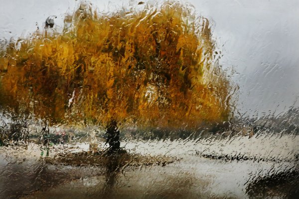 Осенняя непогода в живописи