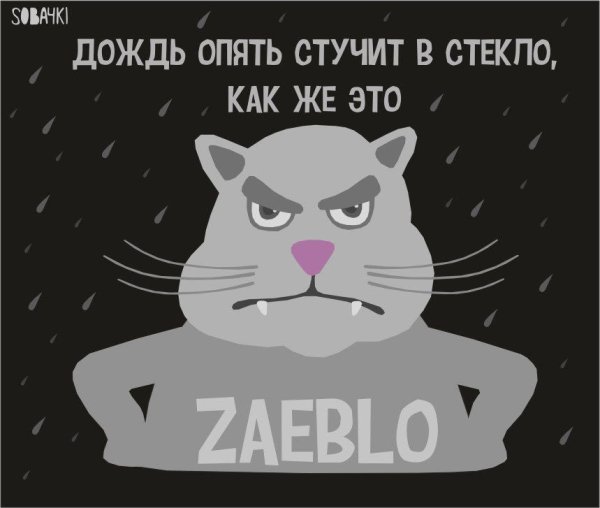 И опять дождь приколы