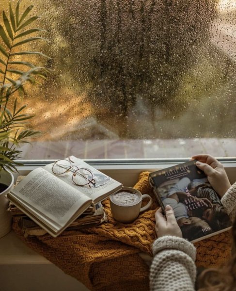 Дождь книга