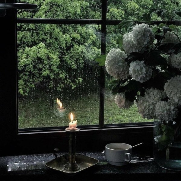 Дождь Эстетика