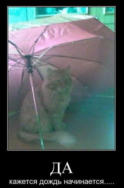 Пятачок кажется дождь начинается
