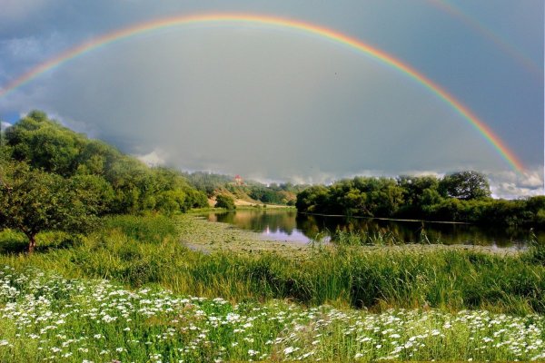 Природа после дождя