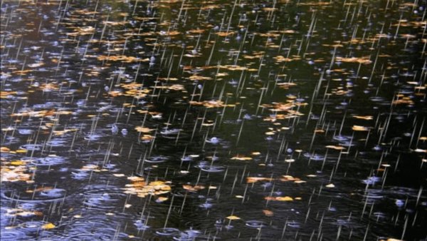 Дождь анимация