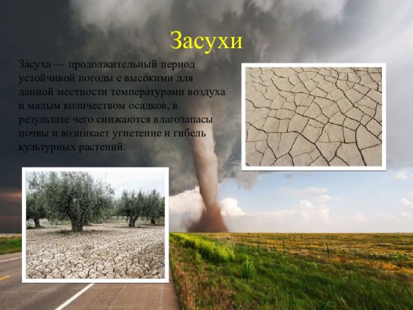 Опасные природные явления засуха