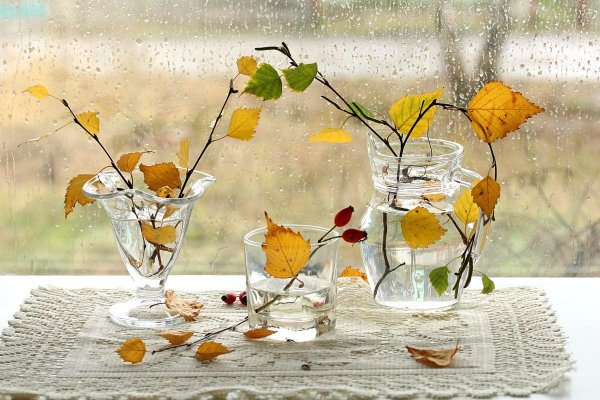 Дождливое утро осени