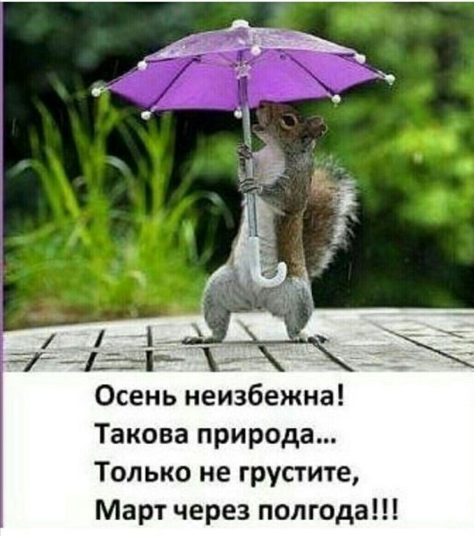 Открытка в дождливую погоду для поднятия настроения