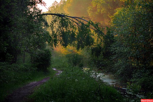 Пейзаж после дождя