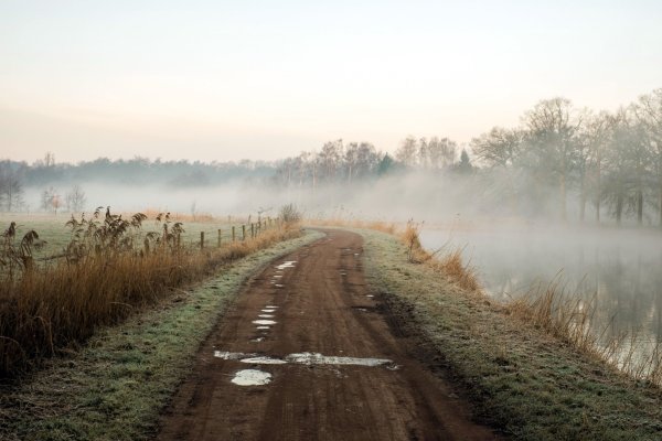 Утро в деревне дорога