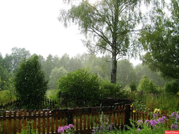 Летний дождь в деревне