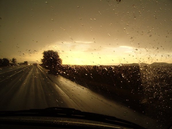 Дорога из окна автомобиля