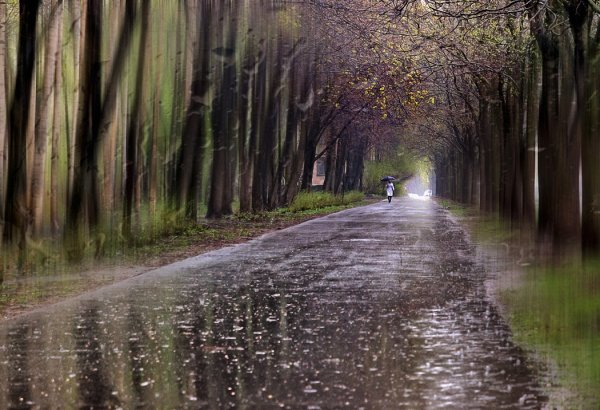 Дождливая осень в городе
