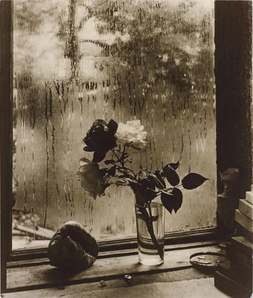 Йозеф Судек натюрморты