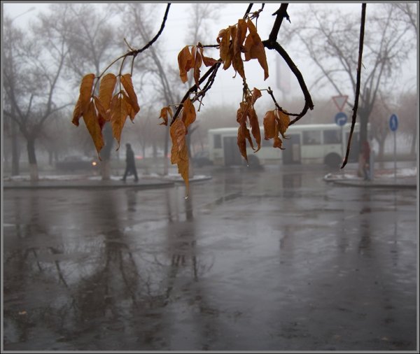 Поздняя дождливая осень