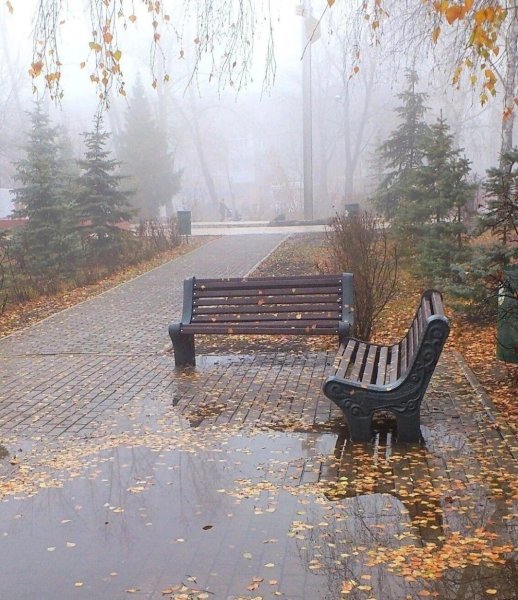 Осенний дождь