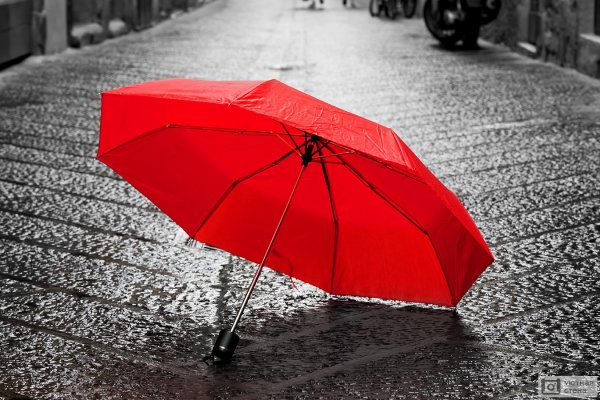 Мокрый зонт