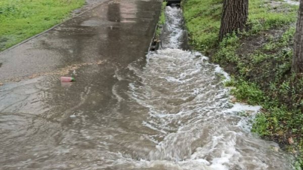 В результате протоплерия