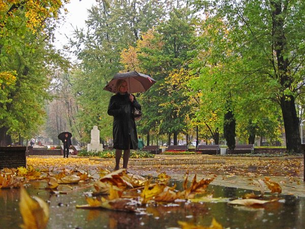 Дождливая Московская осень