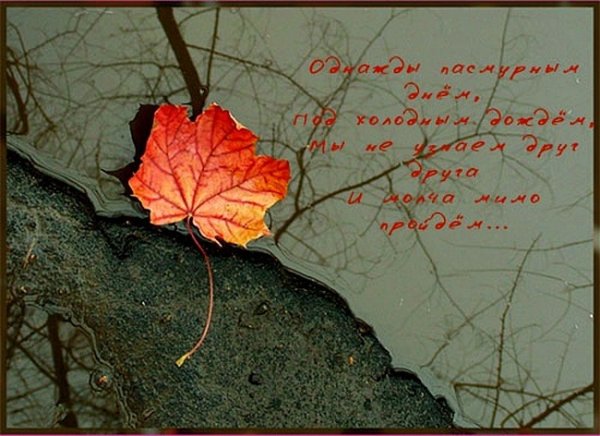 По листьям опавшим деревья не плачут