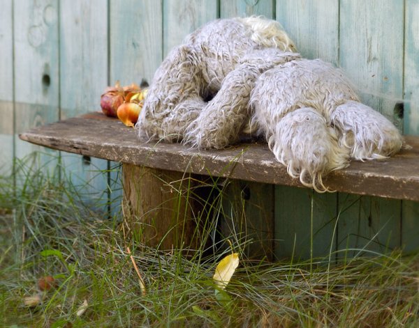 Зайка на скамейке