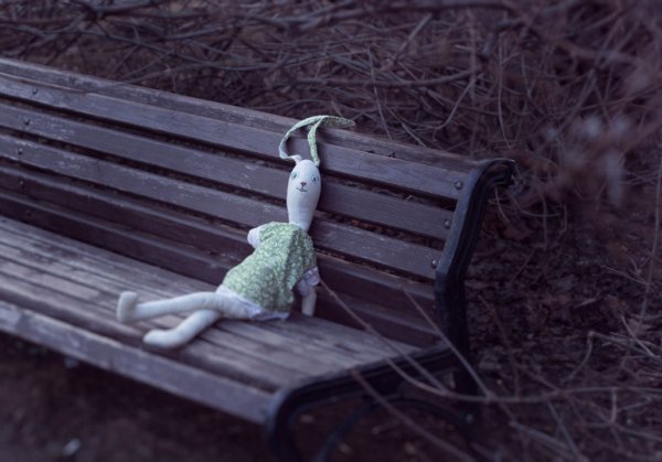 Зайчик на скамейке под дождем