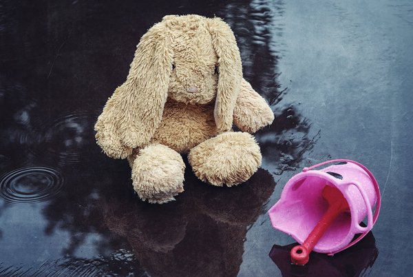 Зайку бросила