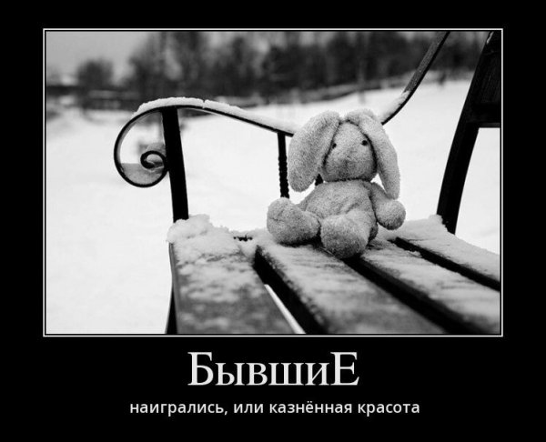 Мишку бросила хозяйка