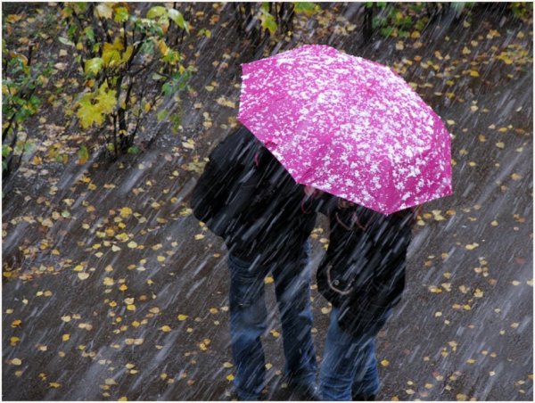 Сильный дождь осень