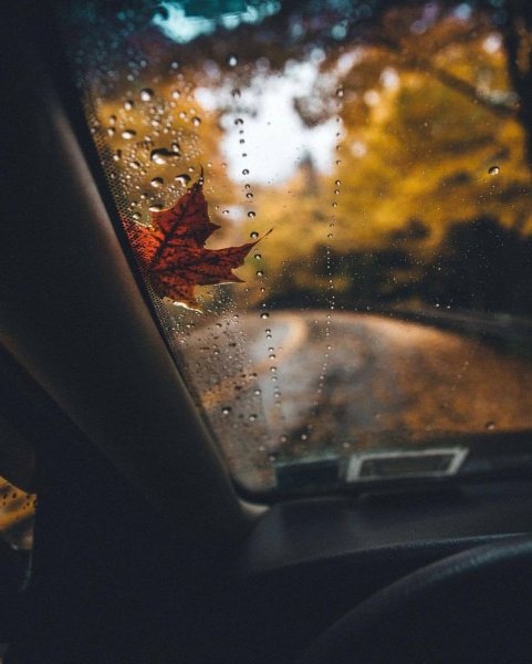 Осень из окна машины