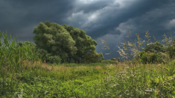 Природа перед грозой