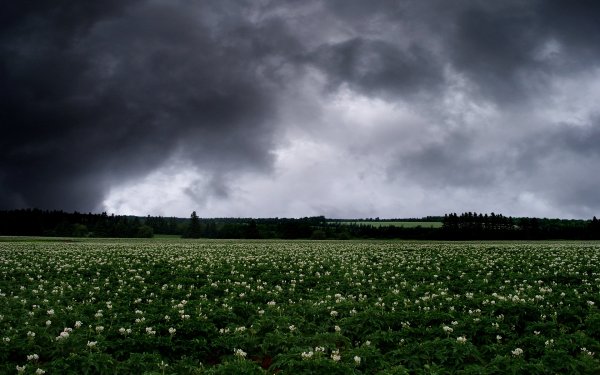 Пасмурное небо