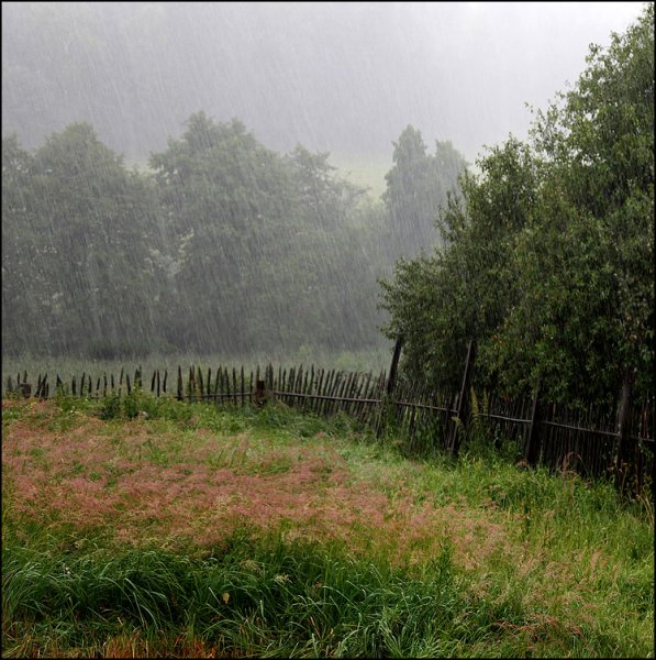 Лето после дождя