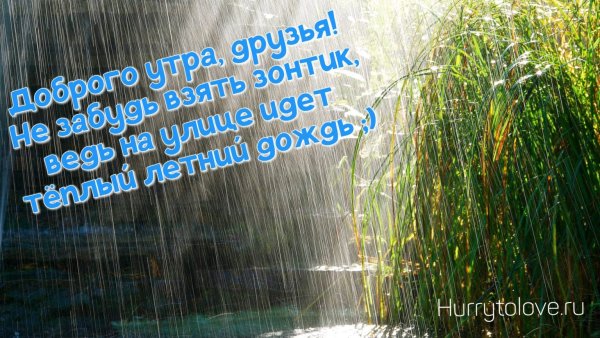 Доброе утро дождливое лето