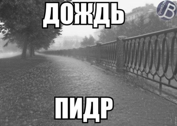 Мемы про дождливое лето
