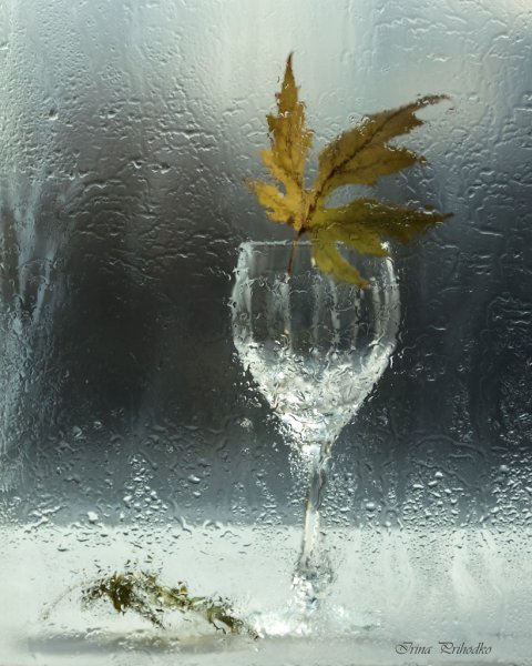 Бокалы с листьями