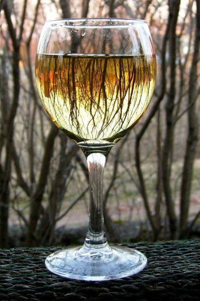 Осень в бокале