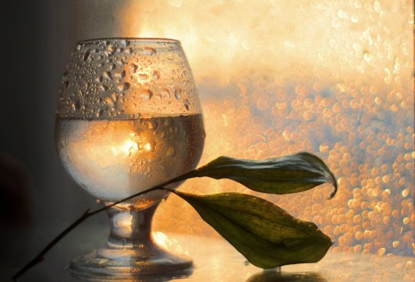 Фотонатюрморты с водой