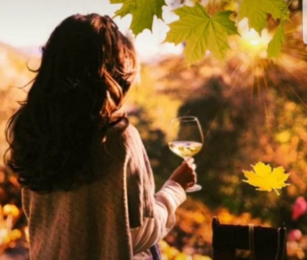 Вино осень