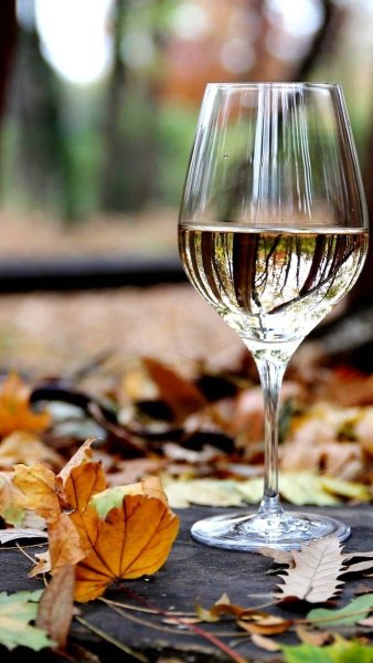 Стоковые фотографии по запросу Игристое вино осень
