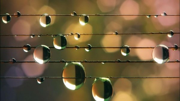 Нотный дождь