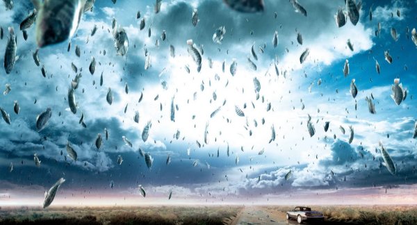 Дождь из рыбы в Гондурасе