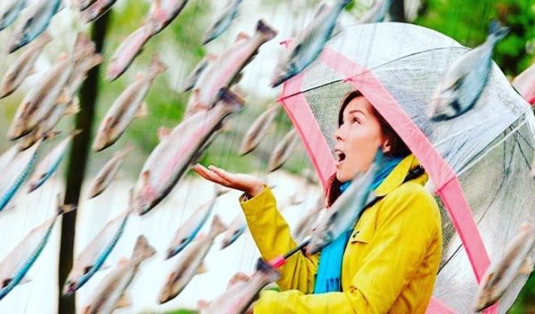 Дождь из лягушек