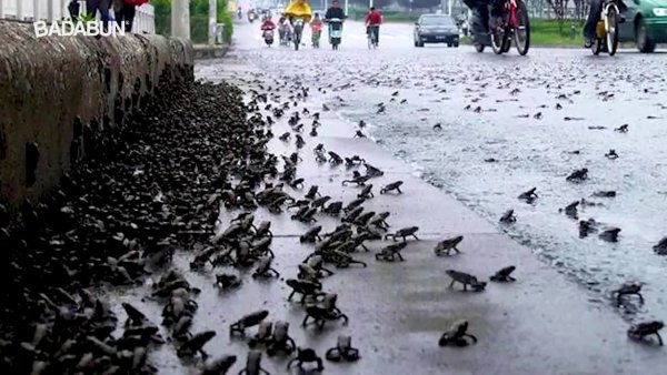 Рыбный дождь в Гондурасе