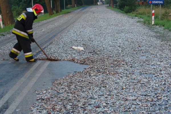 Необычные погодные явления рыбный дождь