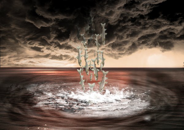 Потоп небеса