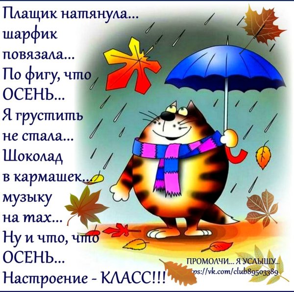 Плохая погода не повод грустить