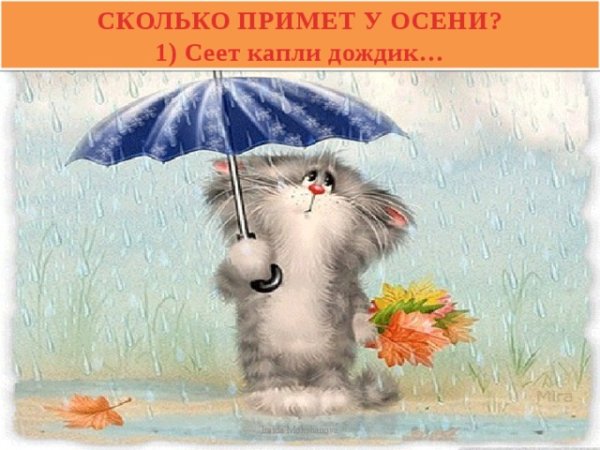 С дождливым утром воскресенья