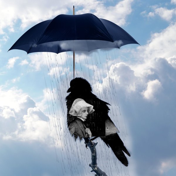 Дождь из ворон